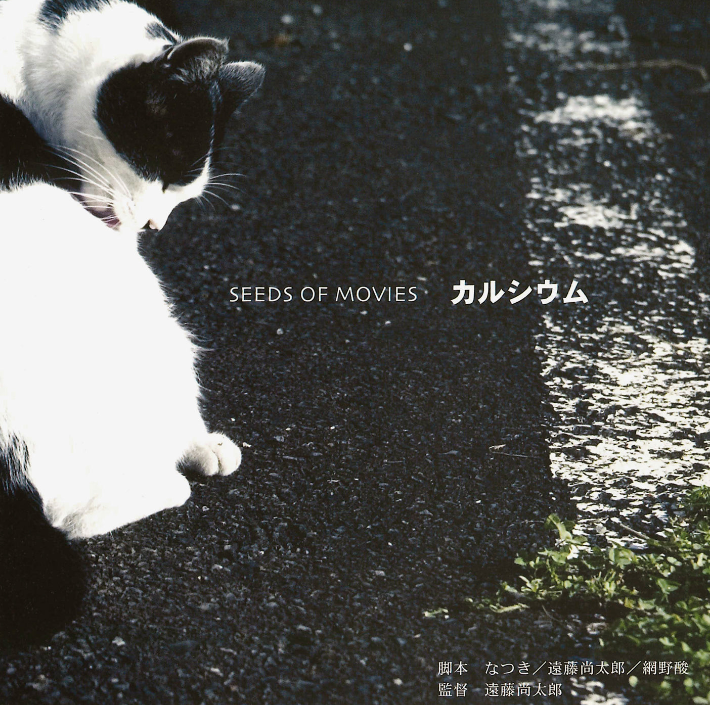 <tc>SEEDS OF MOVIES</tc> "แคลเซียม"[ <tc>CD</tc> -
