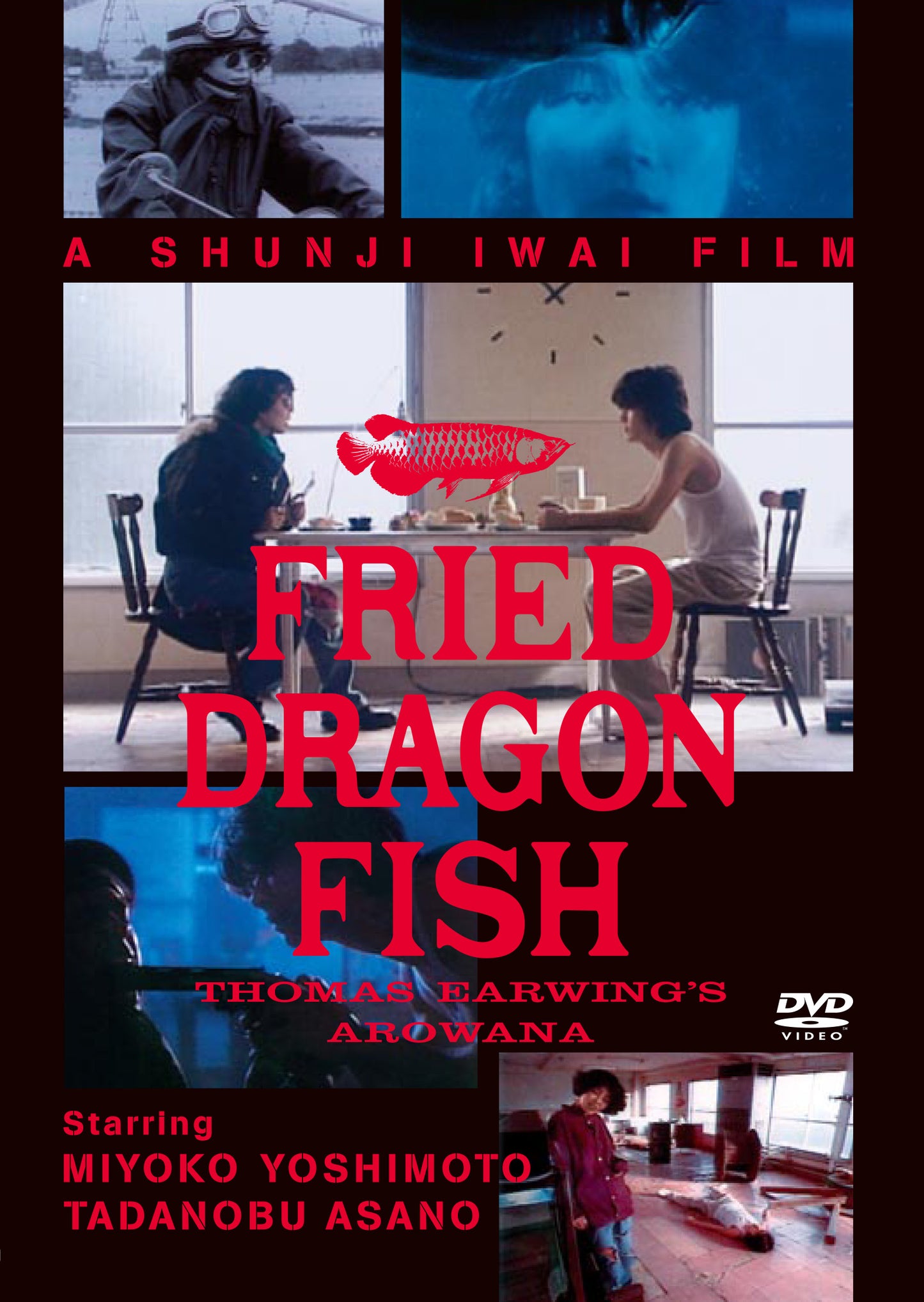 FRIED DRAGON FISH［DVD］