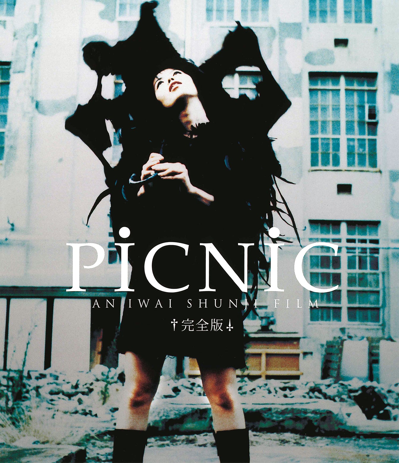 PiCNiC〈完全版〉［Blu-ray］