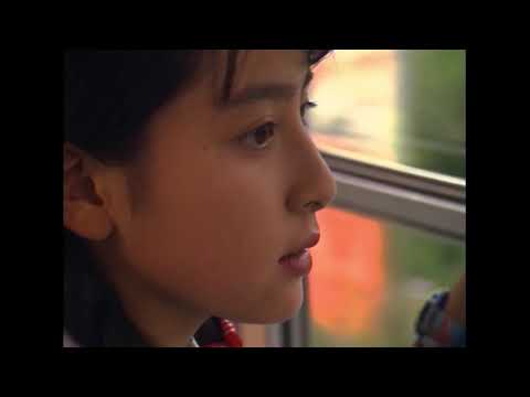 打ち上げ花火、下から見るか？横から見るか？ 〈豪華版Blu-ray BOX